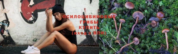 ALPHA PVP Арсеньев